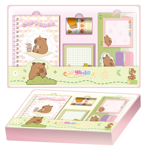 Capybara Stationery gift box, Cartoon Stationery Set ,paper tape stickers, Vertical envelope，page tags, Student gifts