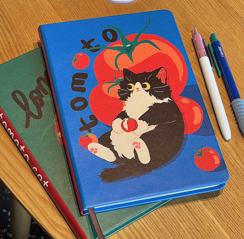 Hardcover Notebook, Student Cartoon Note Book, Supports customized OEM, ODM