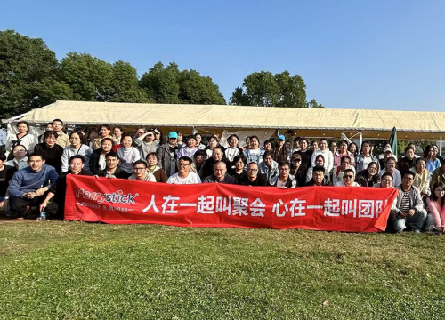 Company Team Building: River Rafting Challenge, Forging the Soul of Teamwork