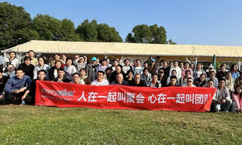 Company Team Building: River Rafting Challenge, Forging the Soul of Teamwork