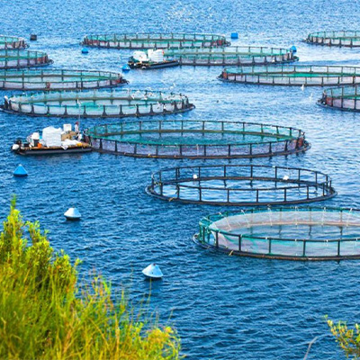 Aquaculture wastewater treatment