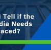 How can I tell if the MBBR media needs to be replaced?