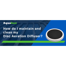 How do I maintain and clean my Disc Aeration Diffuser?