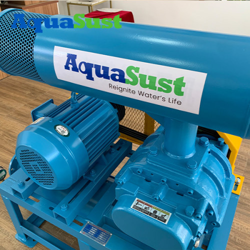 High-Efficiency Roots Blowers For Recirculating Aquaculture Systems (RAS)