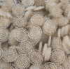 How to Calculate MBBR for Fish Farming: Practical Guidelines and Reference Values