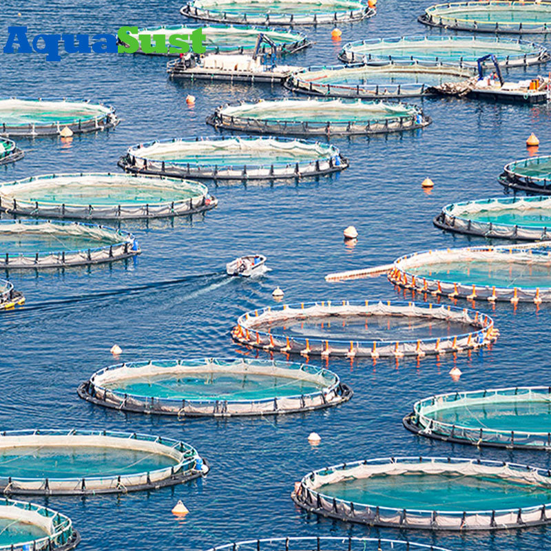 What is a Recirculating Aquaculture System (RAS)