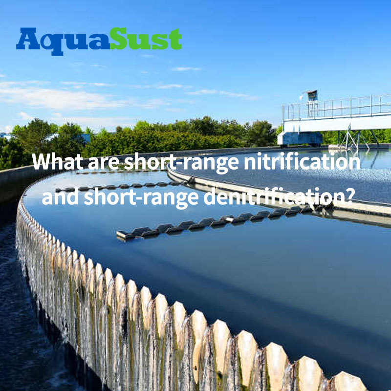 What are short-range nitrification and short-range denitrification?