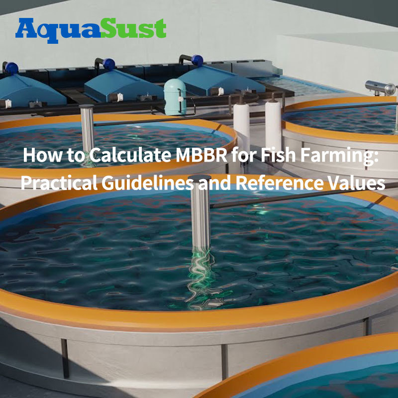 How to Calculate MBBR for Fish Farming: Practical Guidelines and Reference Values