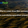 Why is a rotary drum filter necessary in recirculating aquaculture systems?