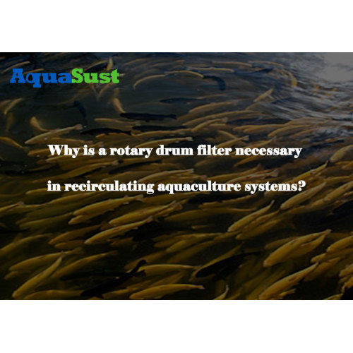 Why is a rotary drum filter necessary in recirculating aquaculture systems?