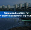 Causes of poor biochemical removal rate of pollutants and solutions