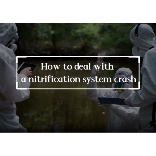 How to deal with a nitrification system crash