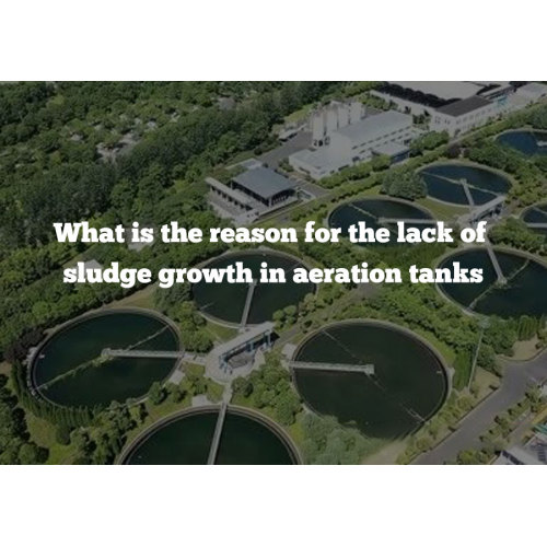 What is the reason for the lack of sludge growth in aeration tanks