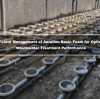 Efficient Management of Aeration Basin Foam for Optimal Wastewater Treatment Performance