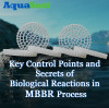 Key Control Points and Secrets of Biological Reactions in MBBR Process
