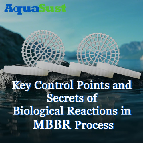 Puntos clave de control y secretos de las reacciones biológicas en el proceso MBBR