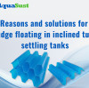 Reasons and Solutions for Sludge Floating in Inclined Tube Settling Tanks