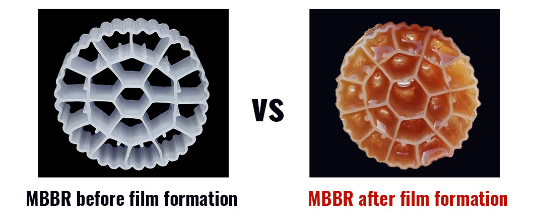 MBBR before film formation
