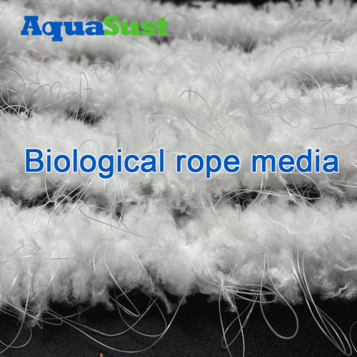 Wastewater treatment: Learn what is Biological rope media