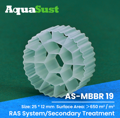 AS-MBBR19 MBBR Media For Municipal Wastewater Secondary Treatment