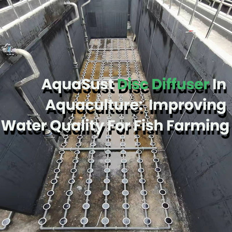 AquaSust Disc Diffuser In Aquaculture:  Improving Water Quality For Fish Farming