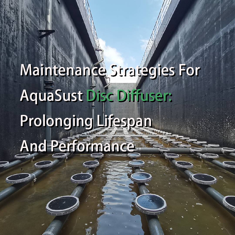 Maintenance Strategies For AquaSust Disc Diffuser:  Prolonging Lifespan And Performance