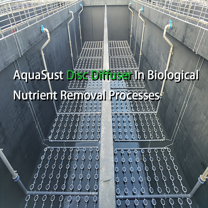 AquaSust Disc Diffuser In Biological Nutrient Removal Processes