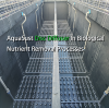 AquaSust Disc Diffuser In Biological Nutrient Removal Processes