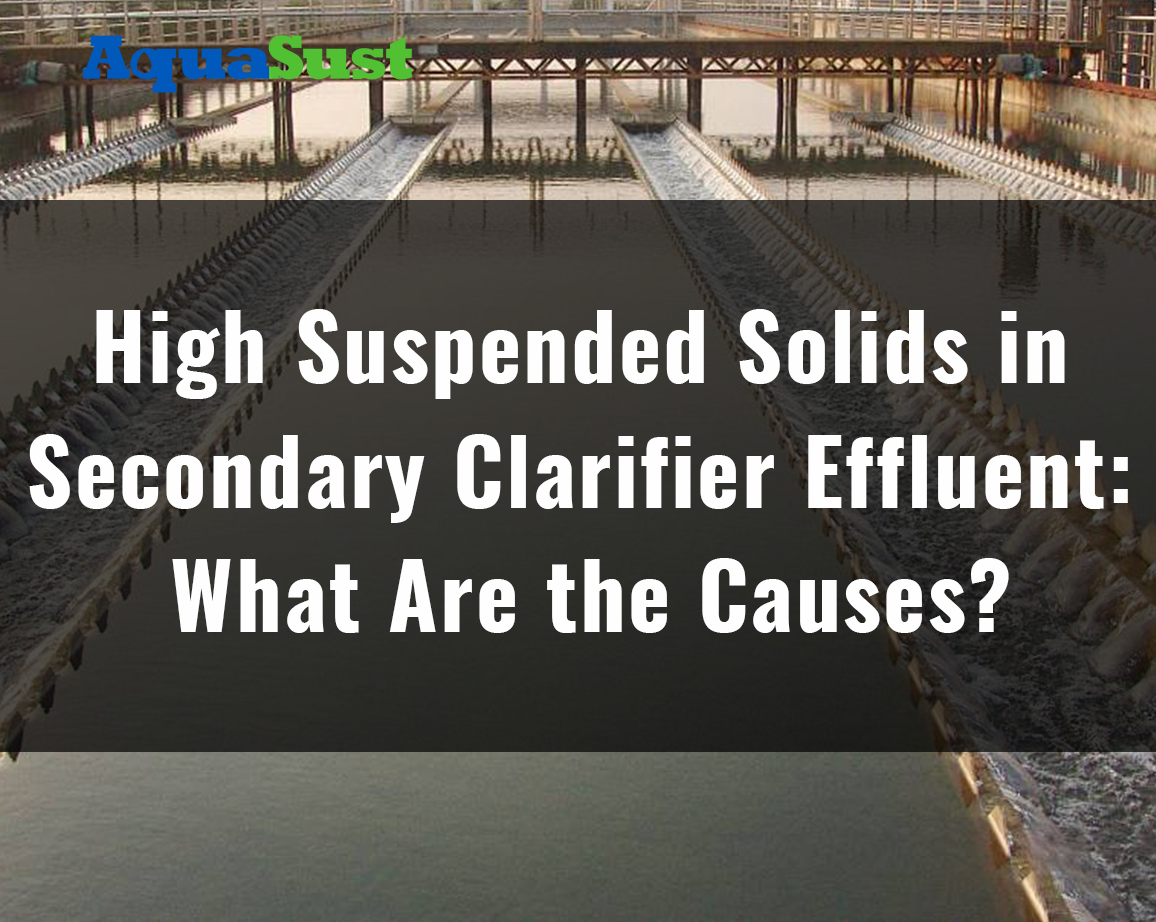 High Suspended Solids in Secondary Clarifier Effluent: What Are the Causes