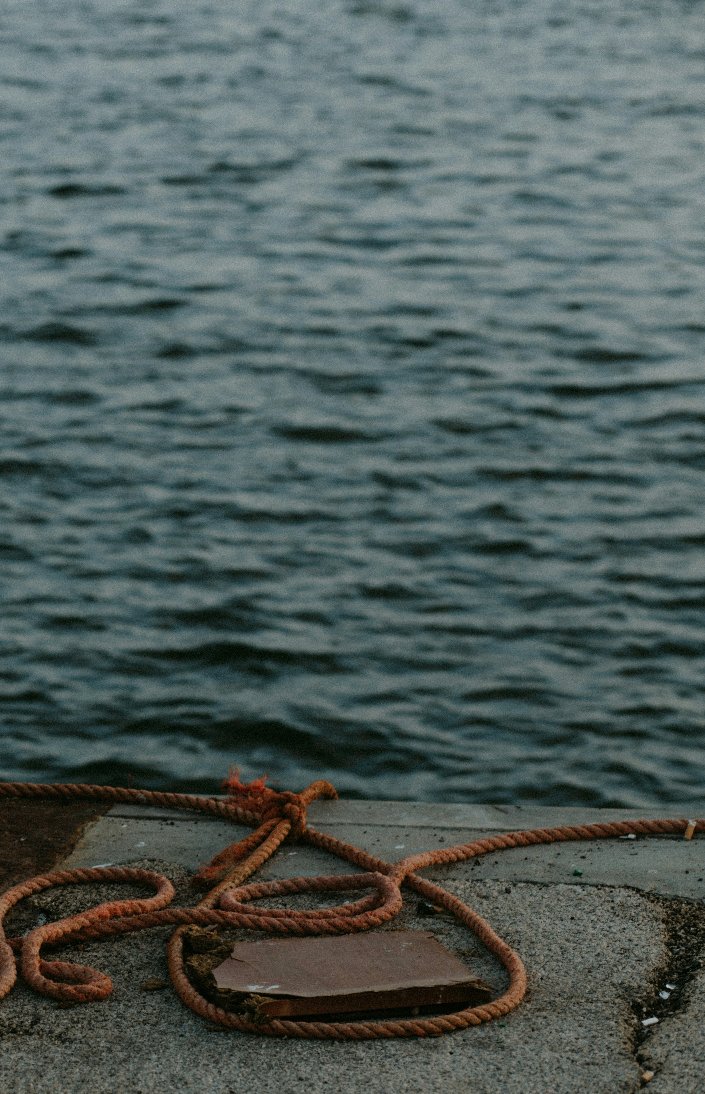 Rope resting on a beach environment