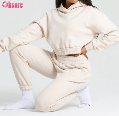 Custom Womens Sports Hoodie Manufacturer | Heavy Cotton Fleece Women Crop Hoodie, Womens Gym Hoodie Supplier From China