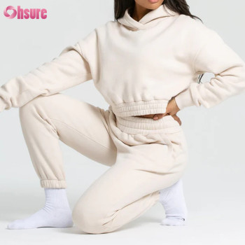 Custom Womens Sports Hoodie Manufacturer | Heavy Cotton Fleece Women Crop Hoodie, Womens Gym Hoodie Supplier From China