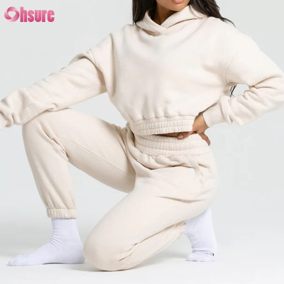 Custom Womens Sports Hoodie Manufacturer | Heavy Cotton Fleece Women Crop Hoodie, Womens Gym Hoodie Supplier From China