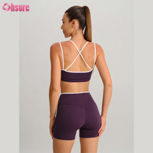 OEM Custom Contrast Piping V-Waist Workout Set 2 Piece Cross Back Sports Bra and Biker Shorts Yoga Outfit