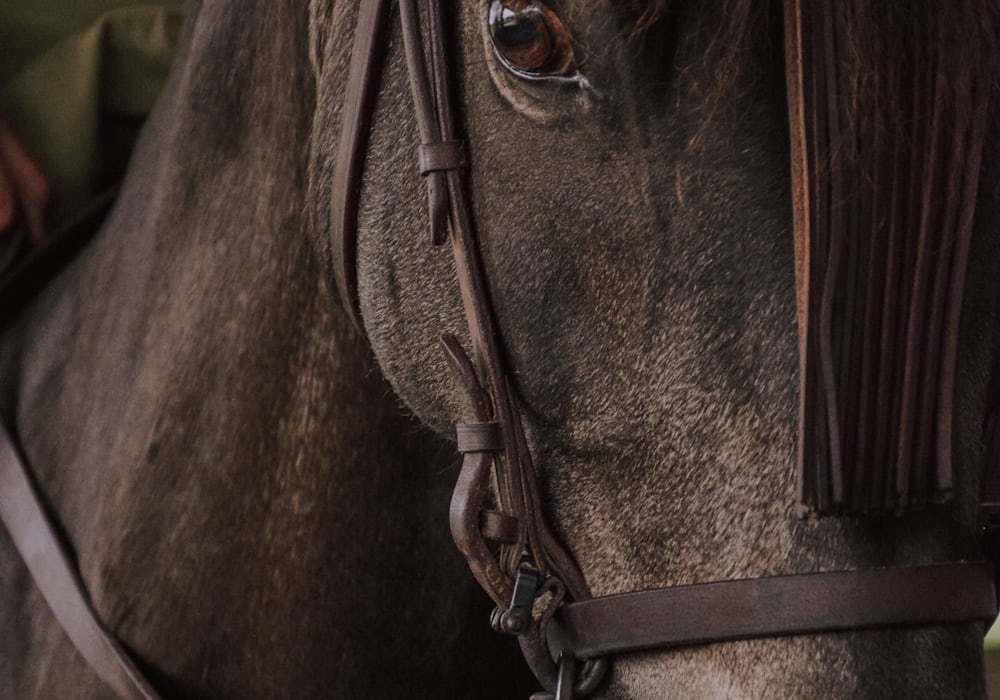 equestrian apparel manufacturer production decision and risk review
