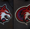 Custom Team Hoodies: Printing vs. Embroidery for Sports Logos