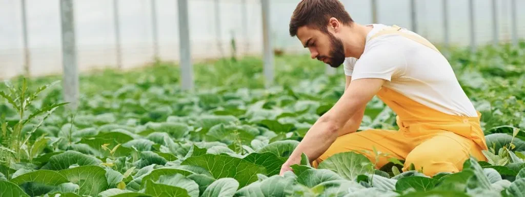 Agricultural Apparel Supplier