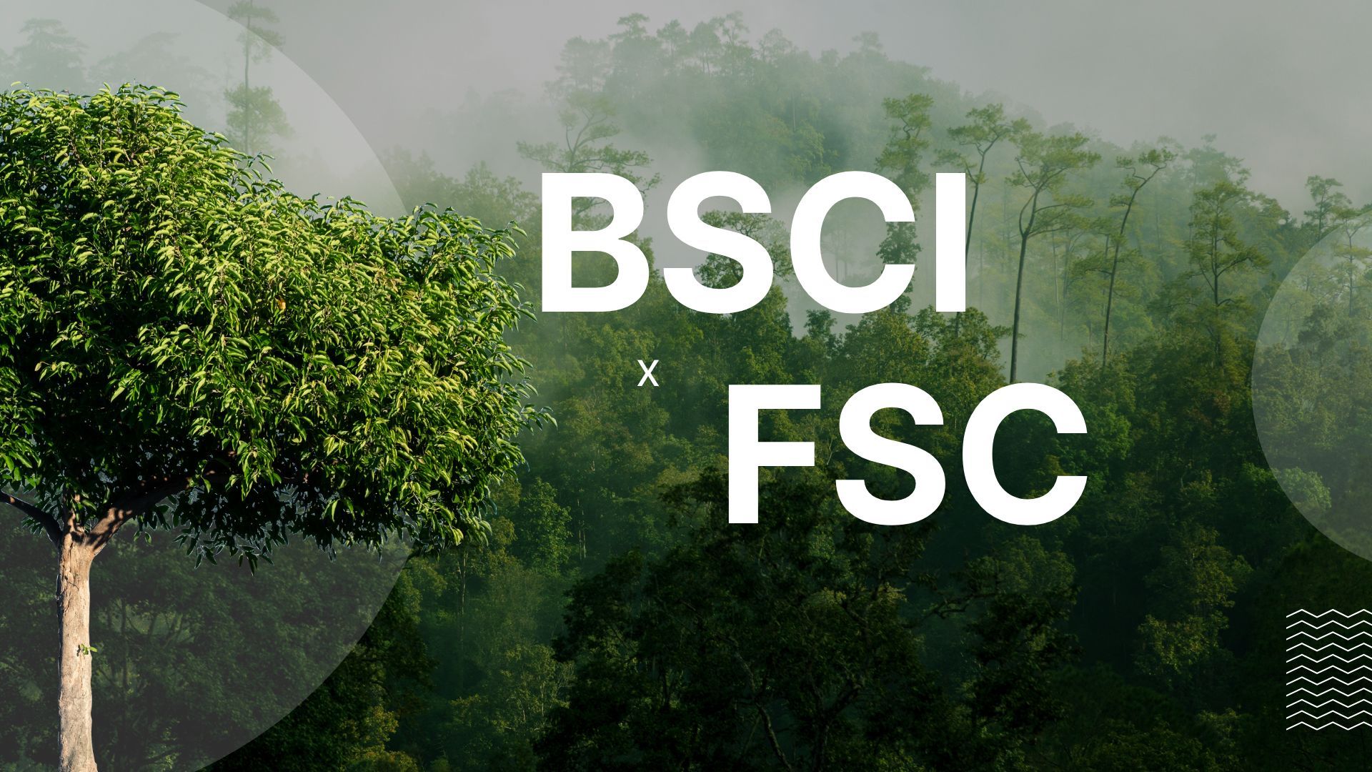 BSCI