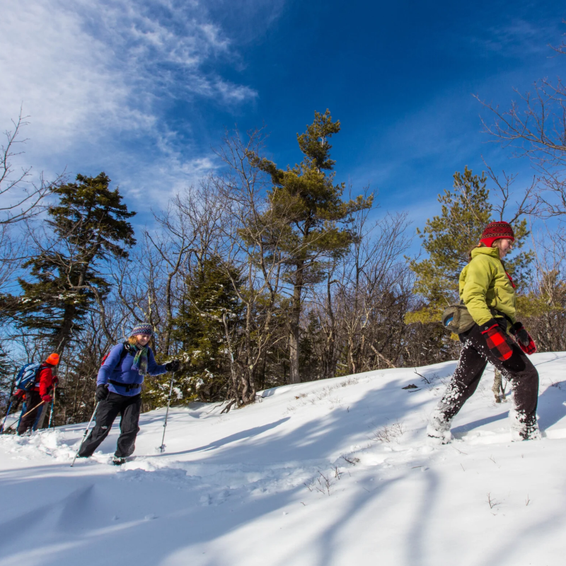 Exploring the Latest Winter Trends in Technical Performance Apparel