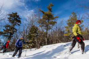 Exploring the Latest Winter Trends in Technical Performance Apparel