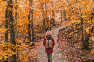 What Are the Oeko-Tex Certification Requirements for Outdoor Clothing Manufacturing