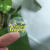 Self-Adhesive Vinyl Stickers, Waterproof Transparent Holographic Rolls Affordable Manufacturer