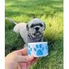 Manufacturer Waterproof Cheap Uv Transfer Paw Prints Stickers Custom