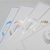 High-Quality Anti-Counterfeiting Certificate of authenticity Gold Silver Hot Stamped Designs Secure