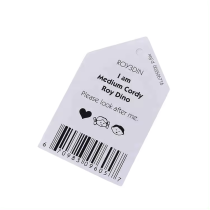 Security custom size custom hang tags printing for clothing
