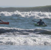 First test of Bingo430 and F425 surfski