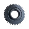Gear for Volvo Truck FL, FE 42561994, 98347480, 1810244, 1810247, 7421094166-PAIRGEARS