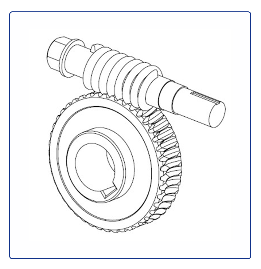 Worm Gears