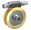 Comprehensive Guide to Custom Worm Gear Services
