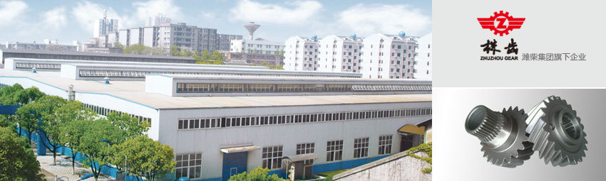 Zhuzhou Gear Co., Ltd.